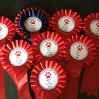 Dog Show 2017 – Entries now open!